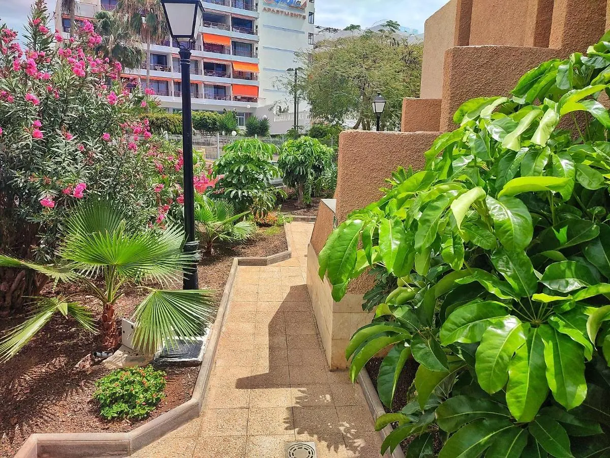 Apartment Dreaming Parque De Las Americas Playa de las Americas